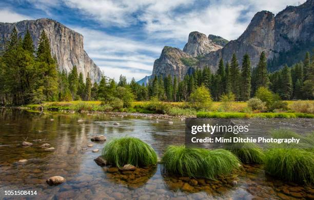 valley view in yosemite national park - yosemite valley stock pictures, royalty-free photos & images