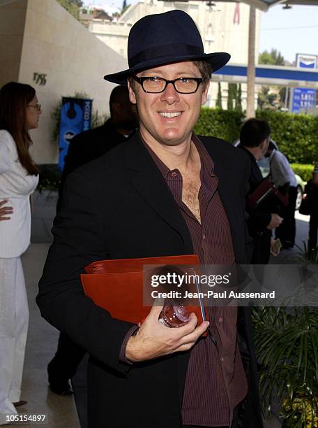 James Spader during Television Critics Association ABC Arrivals - Day Two at Renaissance Hotel in Hollywood, California, United States.