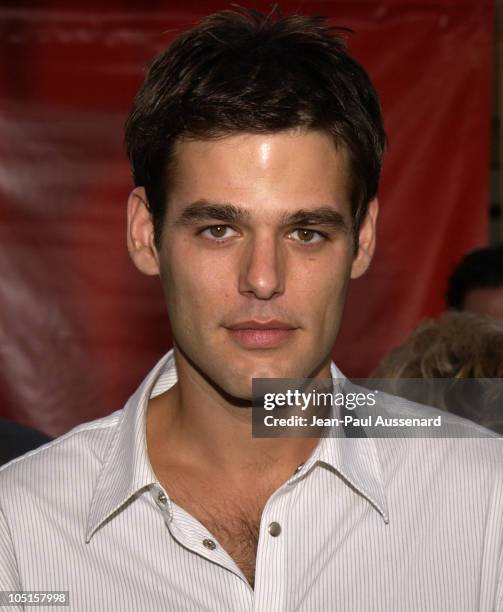 Ivan Sergei Photos and Premium High Res Pictures Getty Images