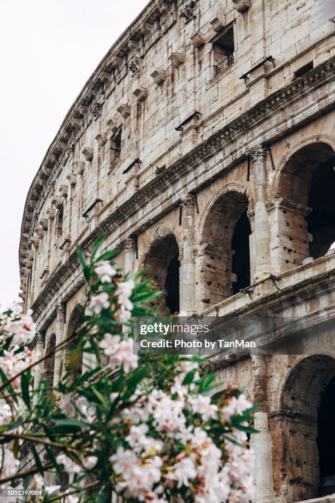 The Colosseum in Rome.