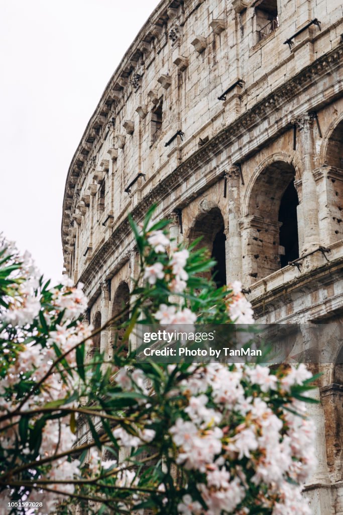The Colosseum in Rome.