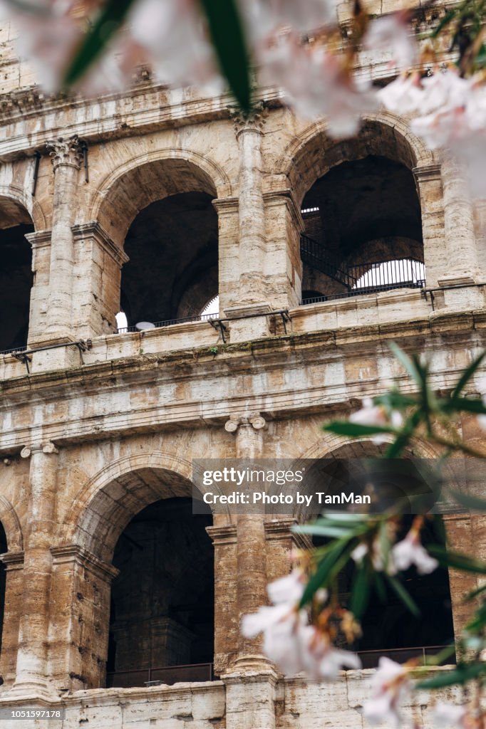 The Colosseum in Rome.