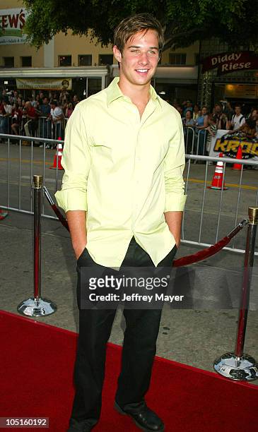 Ryan Merriman during "S.W.A.T." Premiere at Mann Village Theatre in Westwood, California, United States.