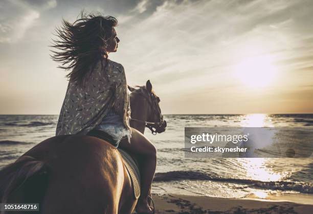 horseback riding on the beach! - riding animals stock pictures, royalty-free photos & images