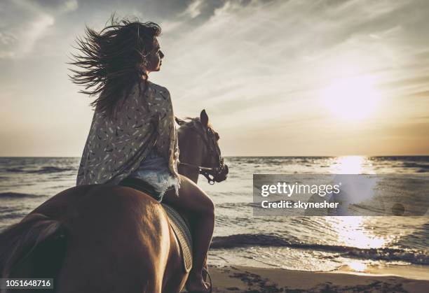 在沙灘上騎馬! - recreational horseback riding 個照片及圖片檔