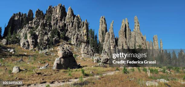 panoramic of cathedral spires, custer state park - rapid city stock pictures, royalty-free photos & images