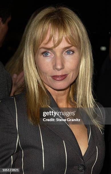 Rebecca De Mornay during "21 Grams" Los Angeles Premiere at Academy Theatre in Beverly Hills, California, United States.