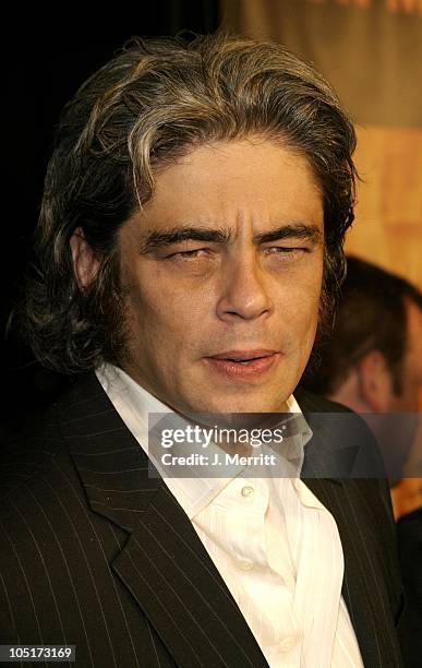 Benicio Del Toro during "21 Grams" - Los Angeles Premiere at Academy Of Motion Pictures in Beverly Hills, California, United States.