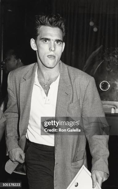 Matt Dillon during "Untouchables" New York City Premiere at Loews Astor Plaza in New York City, New York, United States.