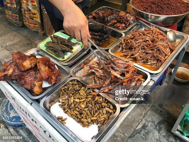 variety of cooked pork and worm for sell on the street of hanoi. - insect eating stock pictures, royalty-free photos & images
