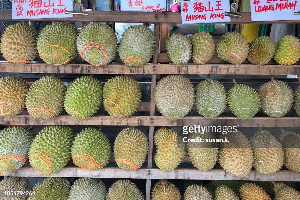 market stall filled with musang king durian. - durian - fotografias e filmes do acervo