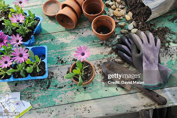 craft persons workspace (gardening) - flower pot stockfoto's en -beelden