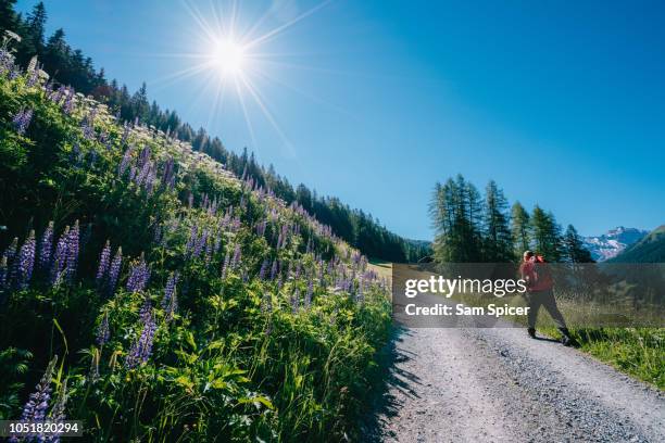 scenic alpine landscape in switzerland - davos stock-fotos und bilder