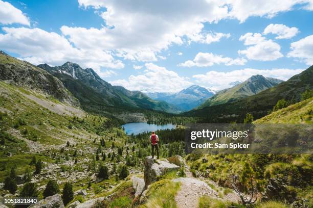 man overlooking stunning alpine landscape, switzerland - bildtechnik stock-fotos und bilder