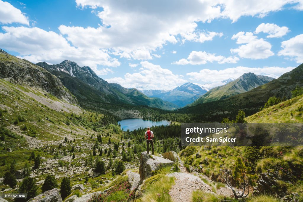 Man overlooking stunning Alpine landscape, Switzerland