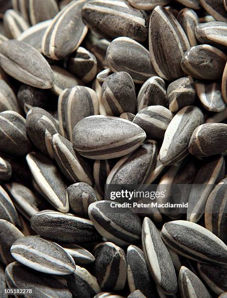 Close up photograph shows some of the seeds used in Chinese Artist Ai Weiwei's Unilever Installation 'Sunflower Seeds' on show at The Tate Modern on...