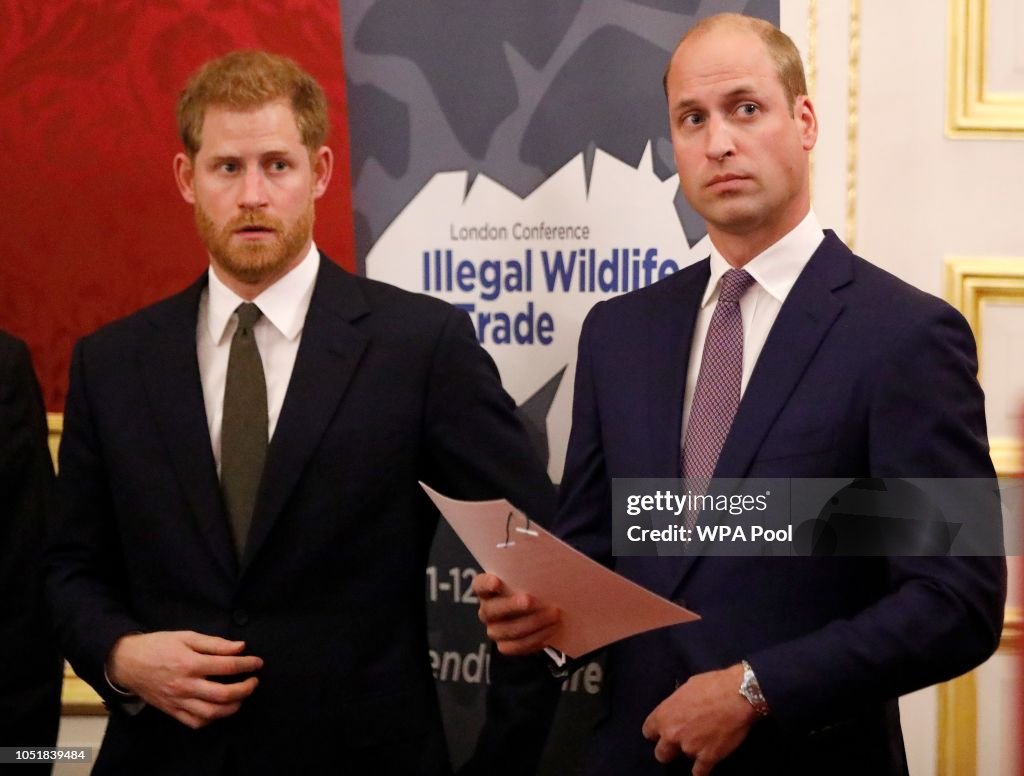 The Duke Of Cambridge Attends The 2018 Illegal Wildlife Trade Conference