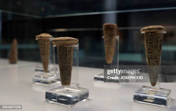 Cones Writing 234 Cone Bearing Stock Photos, High-Res Pictures, and Images - Getty Images