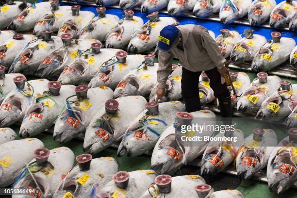 Buyer inspects frozen tuna prior to an auction at Toyosu Market in Tokyo, Japan, on Thursday, Oct. 11, 2018. The market, which began operations today...