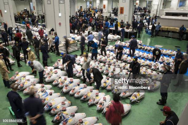 Buyers inspect frozen tuna prior to an auction at Toyosu Market in Tokyo, Japan, on Thursday, Oct. 11, 2018. The market, which began operations today...