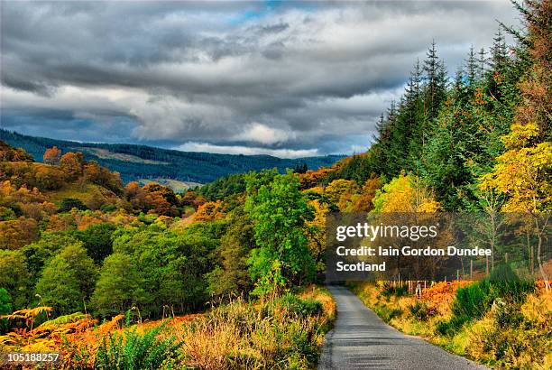 vanishing road - tranquil scottish nature scene - perthshire stock-fotos und bilder