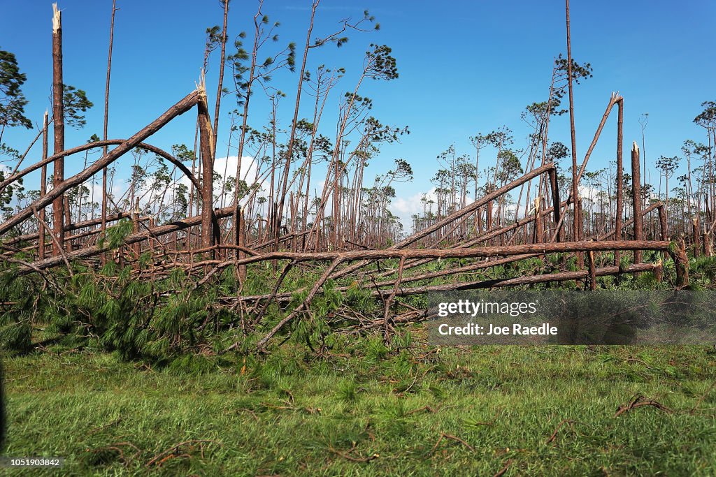 Florida  Panhandle Faces Major Destruction  After Hurricane Michael Hits As Category 4 Storm