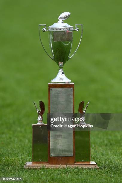 The John F. Henning Trophy on display during the round nine Mitre 10 Cup match between Taranaki and Wellington at Yarrow Stadium on October 12, 2018...