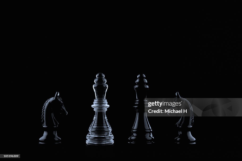Portrait of several chess pieces