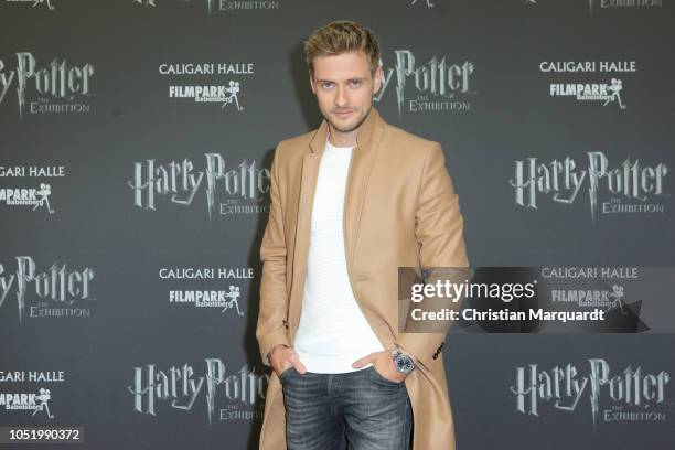 Joern Schloenvoigt attends the 'Harry Potter: The Exhibition' VIP opening at Filmpark Babelsberg on October 12, 2018 in Potsdam, Germany.