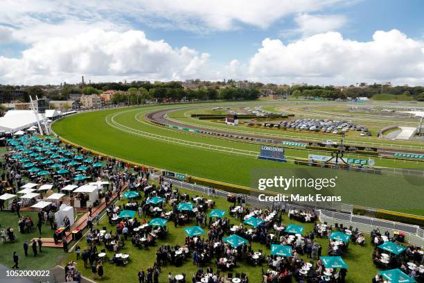 Sydney Races Randwick Racetrack Photos and Premium High Res Pictures - Getty Images