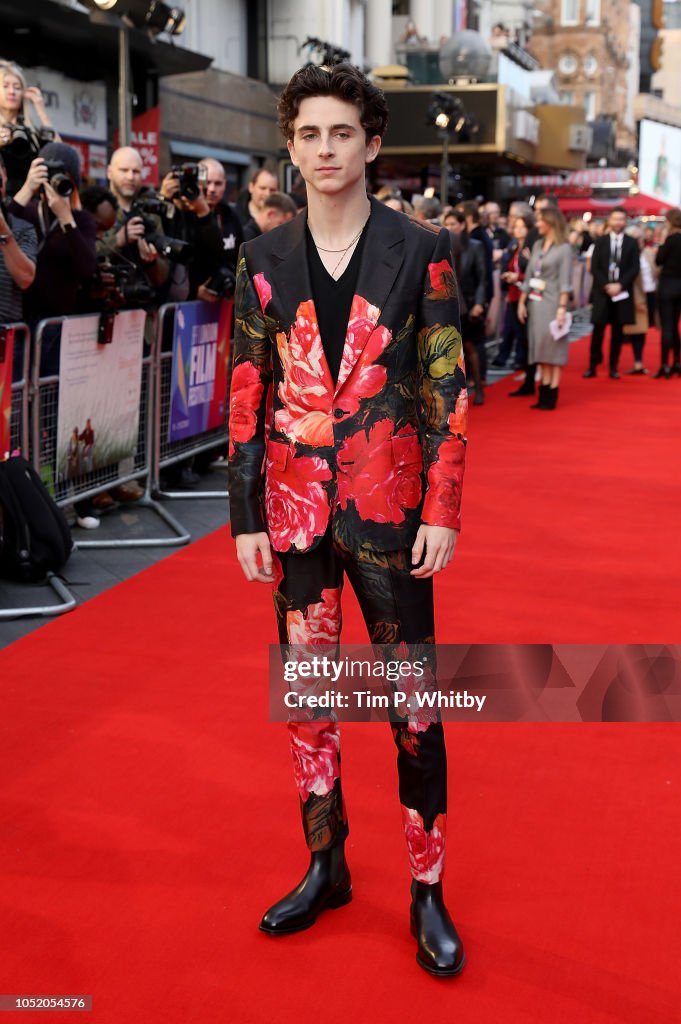 "Beautiful Boy" UK Premiere - 62nd BFI London Film Festival