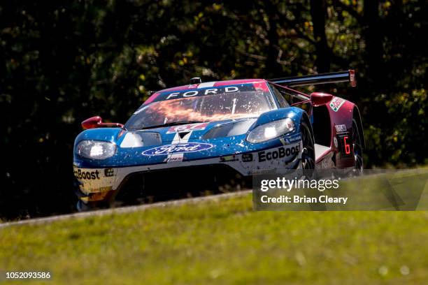 The Ford GT, of Richard Westbrook, of Great Britain, Ryan Briscoe, of Austraia, and Scott Dixon, of New Zealand, races on the track during the Petit...