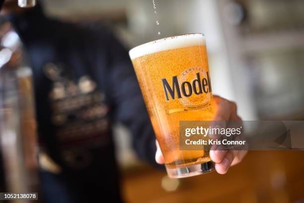 510 Modelo Beer Photos & High Res Pictures - Getty Images
