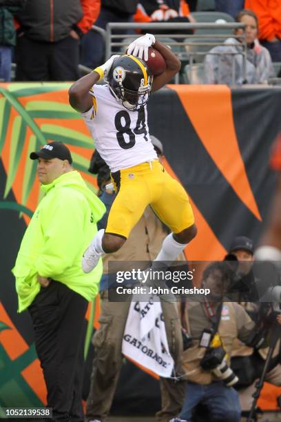 Antonio Brown of the Pittsburgh Steelers celebrates after scoring the game-winning touchdown during the fourth quarter of the game against the...
