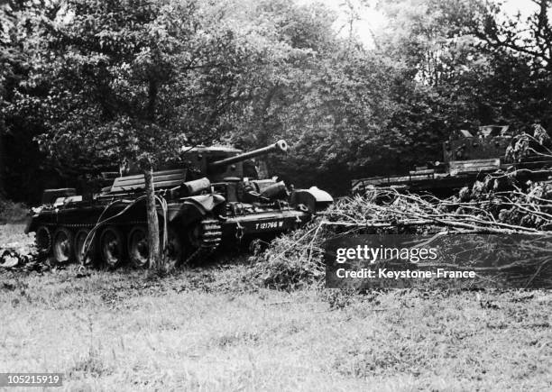 Allied Tanks Abandonned At The Edge Of A Forest In Normandy Near Villers-Bocage, Southwest Of Caen, In Early July 1944. They Were Abandonned...