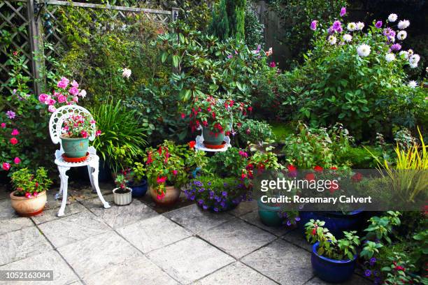 october english garden still full of flowers. - flower pot garden stock pictures, royalty-free photos & images