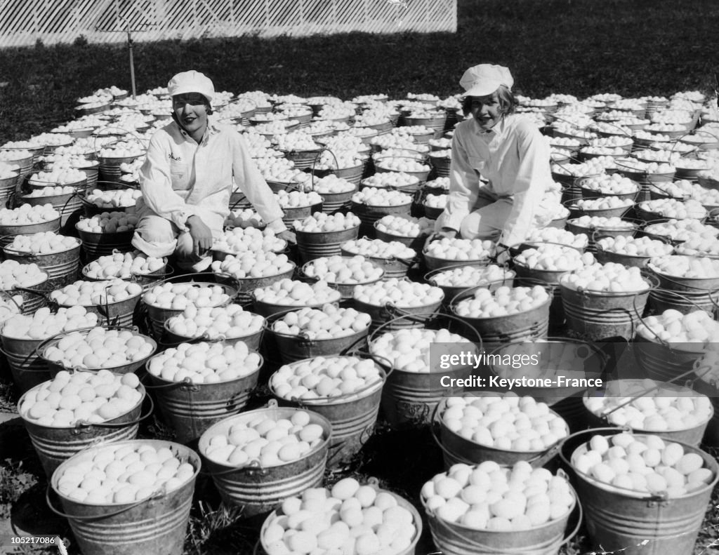 Eggs Consignment For Eastern In The Usa In 1934