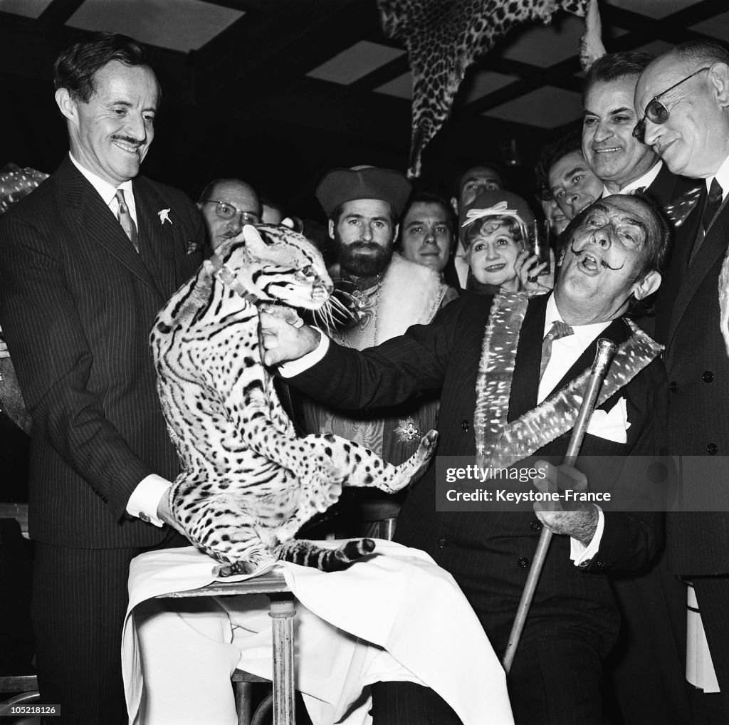 Salvador Dali And A Ocelot In Paris In 1967