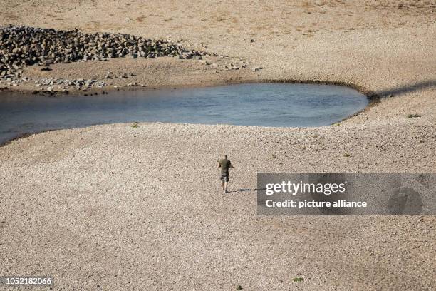 October 2018, North Rhine-Westphalia, Cologne: A man walks along the Rhine at low tide. Photo: Rolf Vennenbernd/dpa