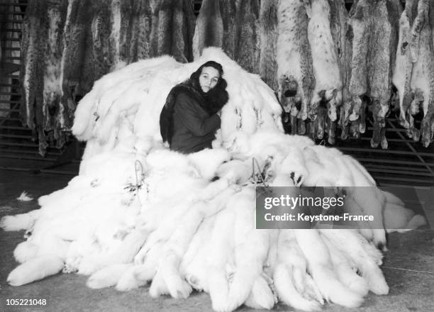 Hudson Bay Company. London. Woman Surrounded By Furs