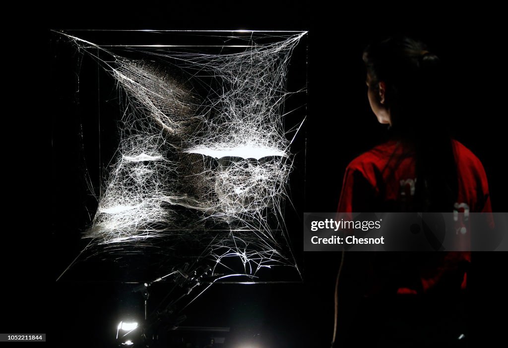 "On Air" : Tomas Saraceno's Exhibition At Palais De Tokyo In Paris