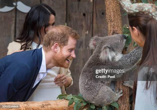 Prince Harry, Duke of Sussex and Meghan, Duchess of Sussex meet a Koala called Ruby during a visit to Taronga Zoo on October 16, 2018 in Sydney,...