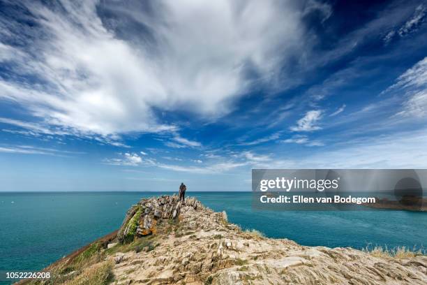 panoramic view over the english channel and cliffs of pointe du grouin, near cancale - cancale bildbanksfoton och bilder