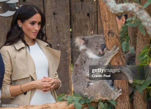 Meghan, Duchess of Sussex meets a koala as she visits Taronga Zoo on October 16, 2018 in Sydney, Australia. The Duke and Duchess of Sussex are on...