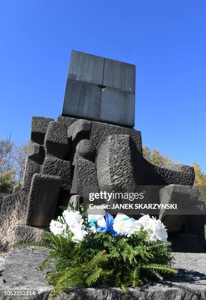 Nazi Flower German Nazi Photos and Premium High Res Pictures - Getty Images