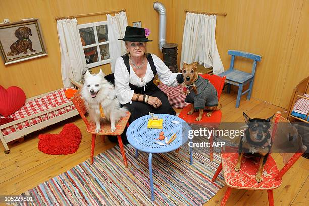 Dressmaker Hildegard Bergbauer sits with her pets spitz dog "Spitzerich", the pinscher "Rocky" and the chihuahua pinscher "Zorroline" inside of a...