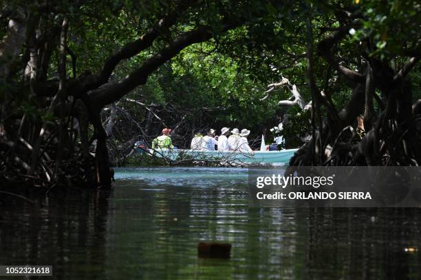 Personnel of Israeli company Soda Stream collects plastic at the mangroves of Roatan, Honduras on October 9, 2018. - An Israeli businessman and a...