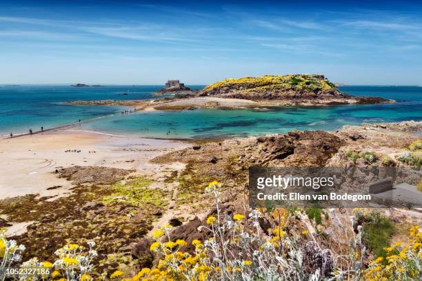 panoramic view over ile du grand bé, a tidal island in the english channel near saint-malo - saint malo stock pictures, royalty-free photos & images