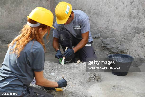 Antropologists work on human remains found in the House with Garden, recently discovered in the Regio V new escavations area the archaeological site...