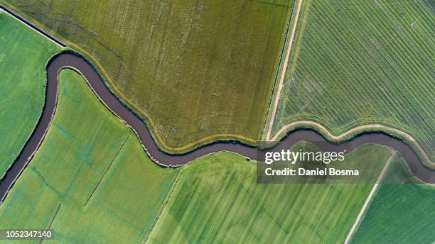 natural curves in a cultivated landscape seen from the sky - hollands landschap stockfoto's en -beelden